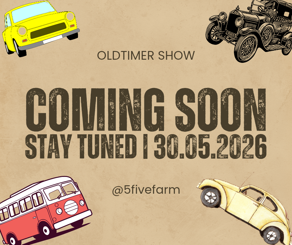 Veterán oldtimer autós találkozó fesztivál kiállítás